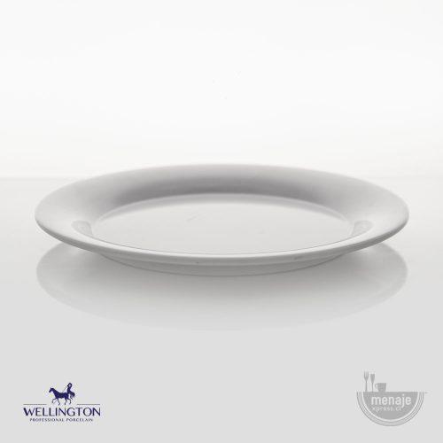 PLATO PRINCIPAL MELAMINA 23CM